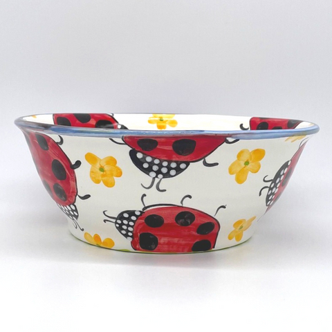 Ladybug Bowls