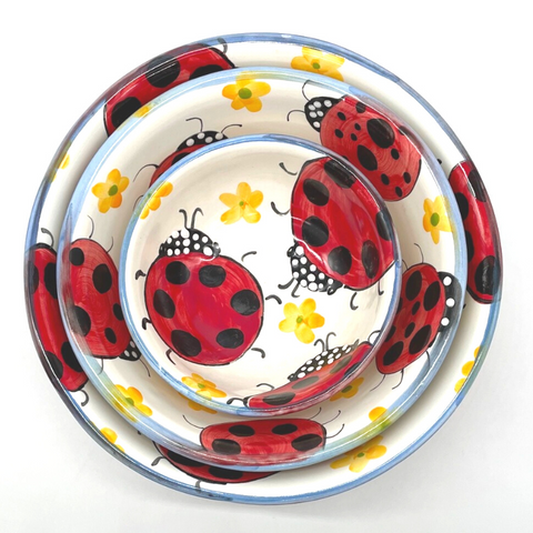 Ladybug Bowls