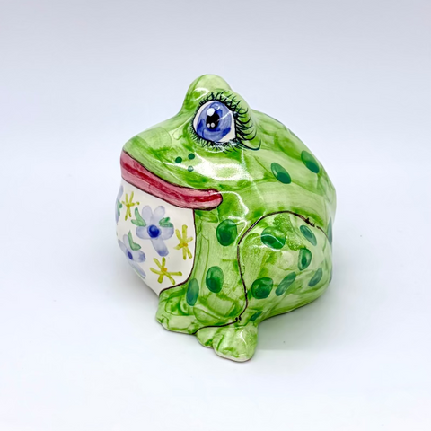 Gilbert the Small Garden Frog