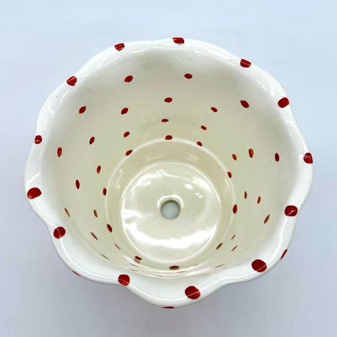 Ann's Pumpkins Flower Pot