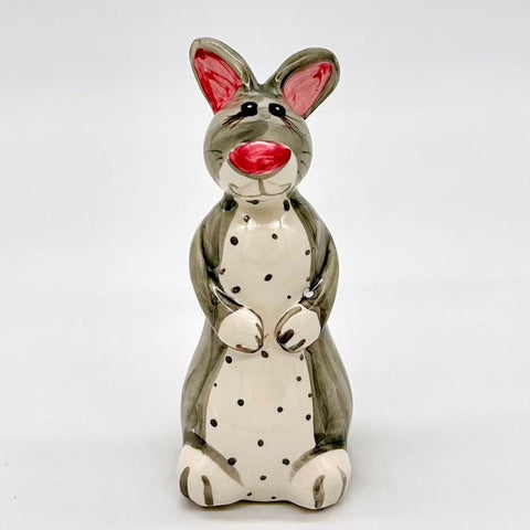 Cotton the Bunny