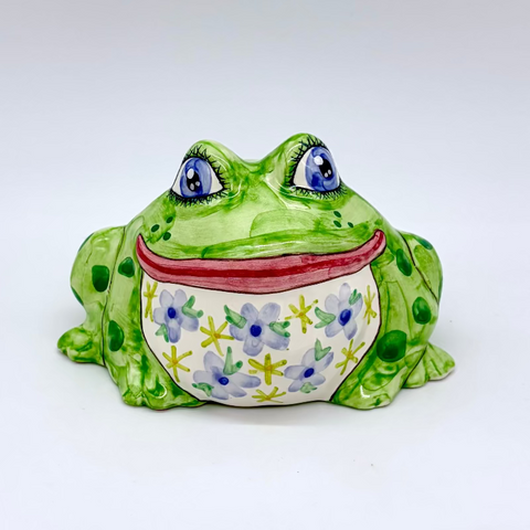 Gilbert the Small Garden Frog