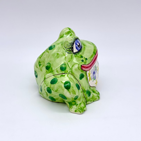 Gilbert the Small Garden Frog