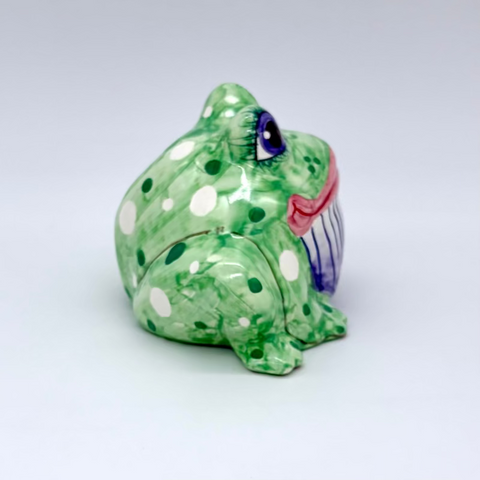 Bebe the Small Garden Frog