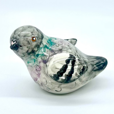 Tonya the Bird
